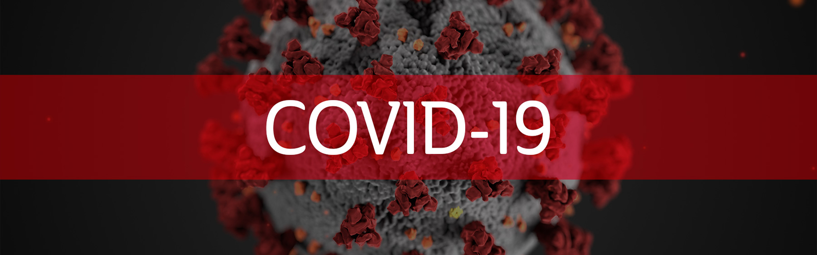 driven-academy-covid19-graphic-img